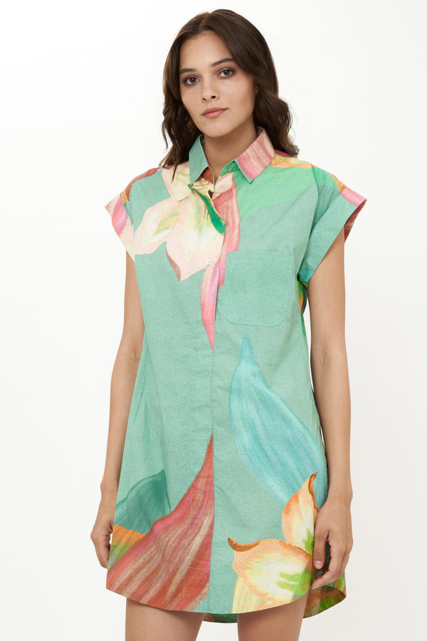 Shirt Dress Mini- Hibiscus Sage